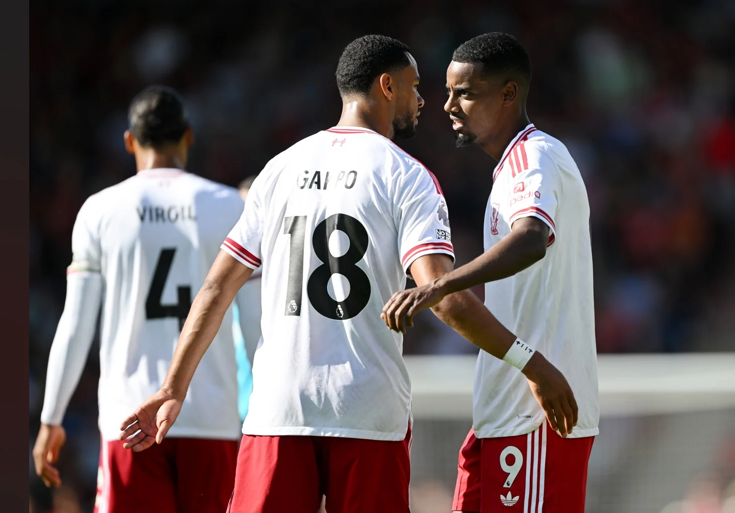 Cody Gakpo congratulates Alexander Isak after the Swedish striker's goal against Bournemouth