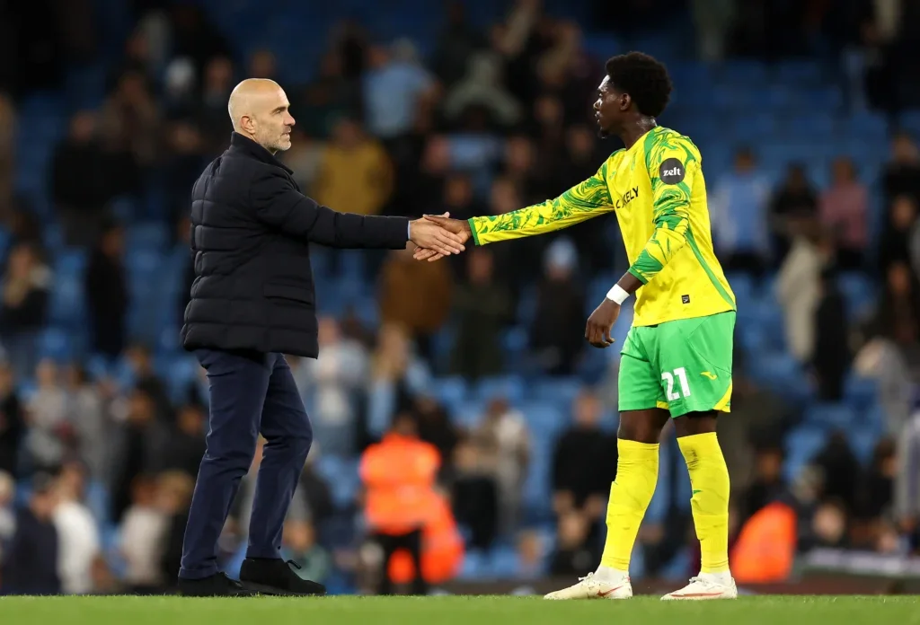 Disallowed Goal Highlights Mohamed Toure's Late Impact in Norwich's Heavy Defeat to Manchester City